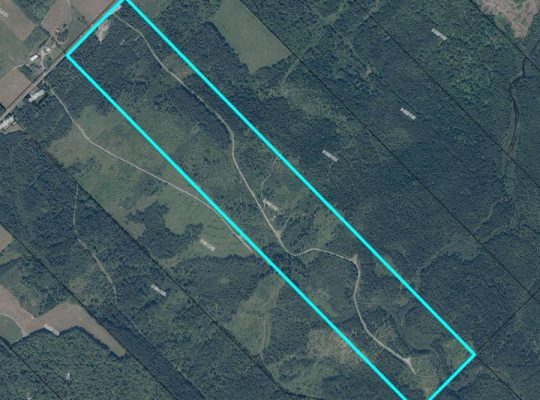 St-Cyprien (Chaud.-App.) : Terre à bois 102 acres