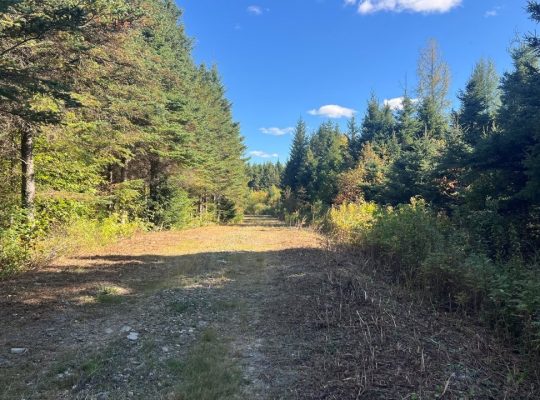 St-Cyprien (Chaud.-App.) : Terre à bois 102 acres